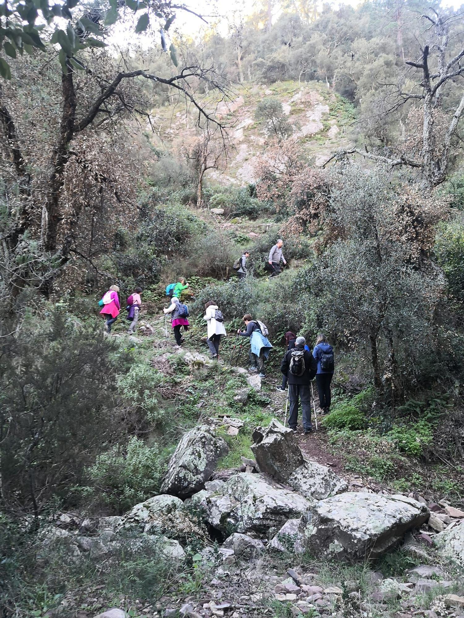 De Navajas a Ain, una ruta por las fuentes