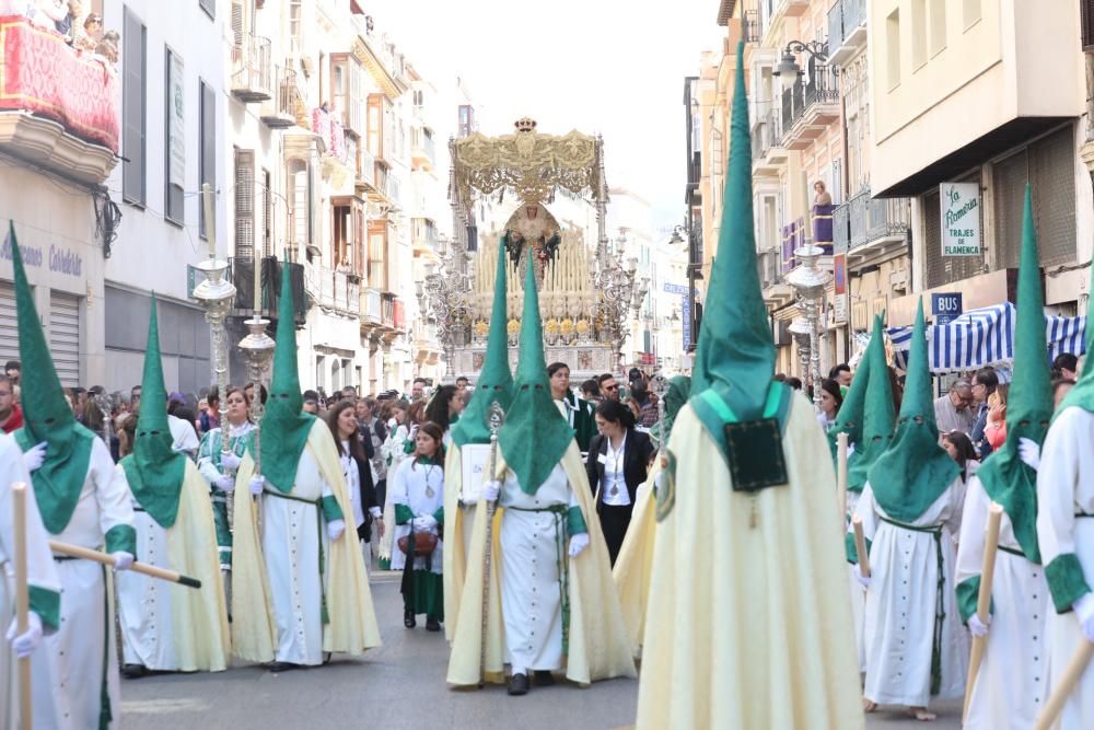 Domingo de Ramos | Pollinica