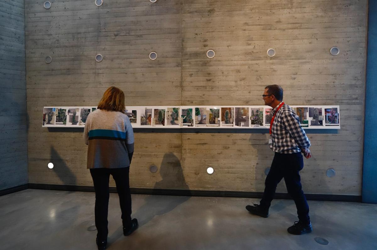 Collages de Abraham Cruzvillegas expuestos en el Salón Boéticus, realizados sobre la flora del Campo de la Verdad