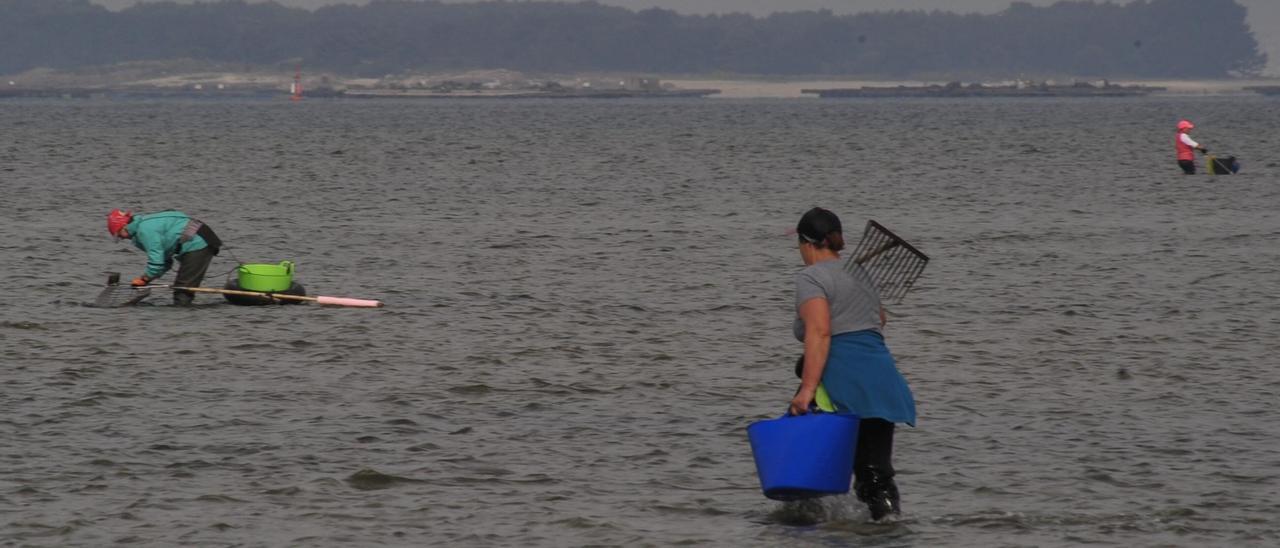 Mariscadoras en Cambados.