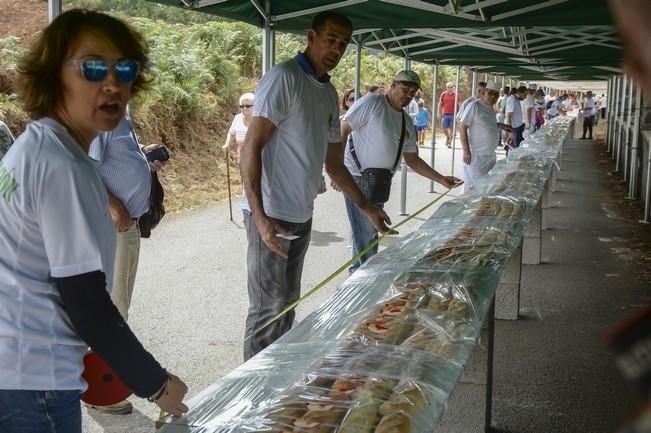 FIESTAS DE VALLESECO