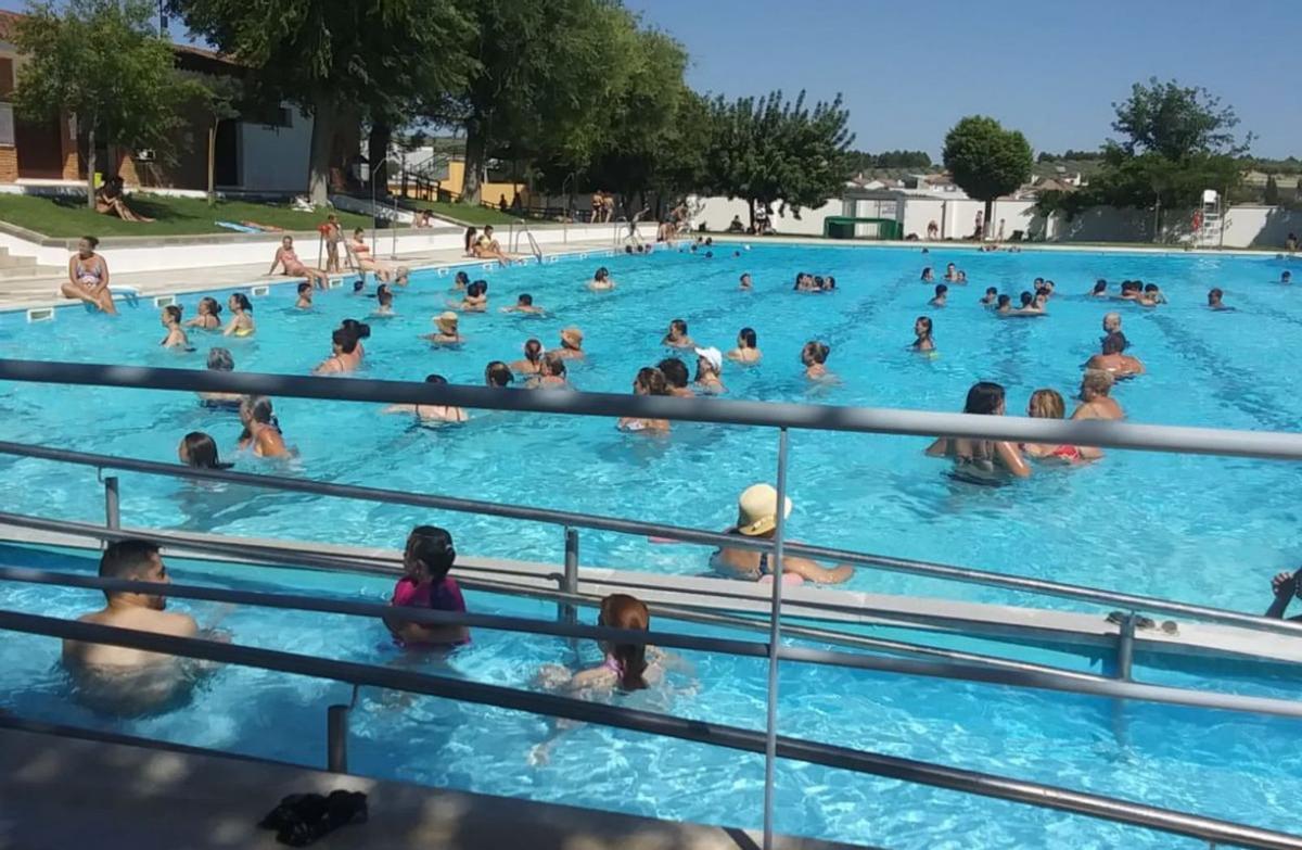 Un grupo de niños participan en las actividades deportivas de la piscina de Montilla. | J.A.AGUILAR/R.C.C./ESCAMILLA