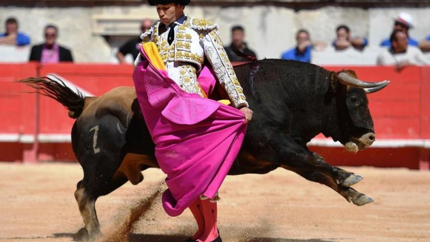 Ginés Marín, corneado en Nimes en su alternativa