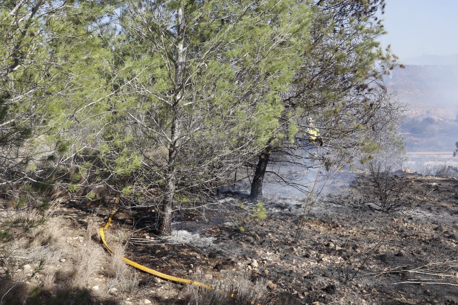 Las imágenes del incendio de Real