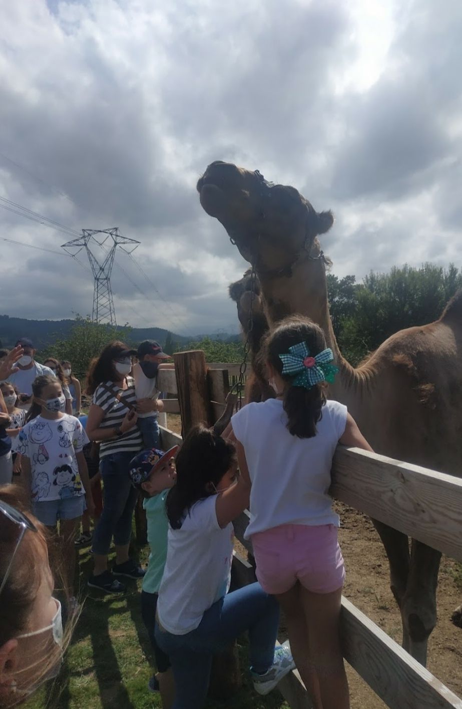 El colectivo Gorfolí-Santufirme premia al Núcleo Zoológico de Tuernes el Pequeño