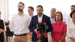 El PSOE culpa a Moreno y a De la Torre de "dejar morir" el Centro Principia