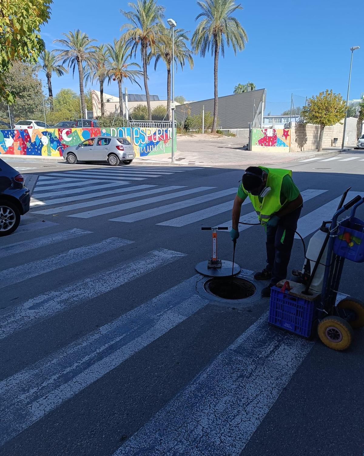 Aplicación del tratamiento contra plagas junto al polideportivo de l'Olleria.