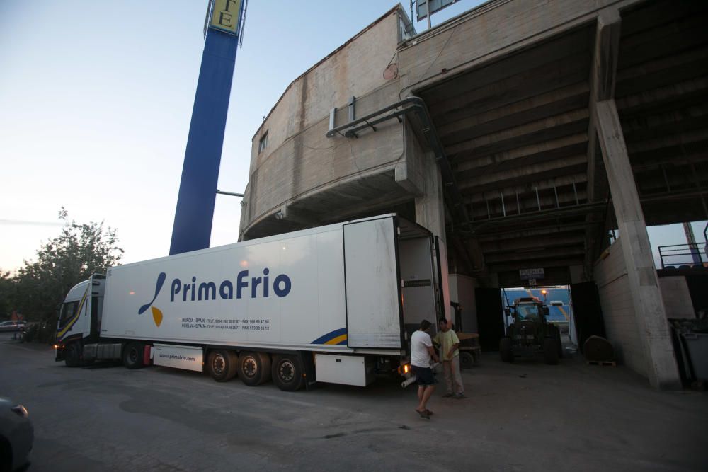 7 años después de la última reposición, el estadio cuenta con un césped de la máxima categoría