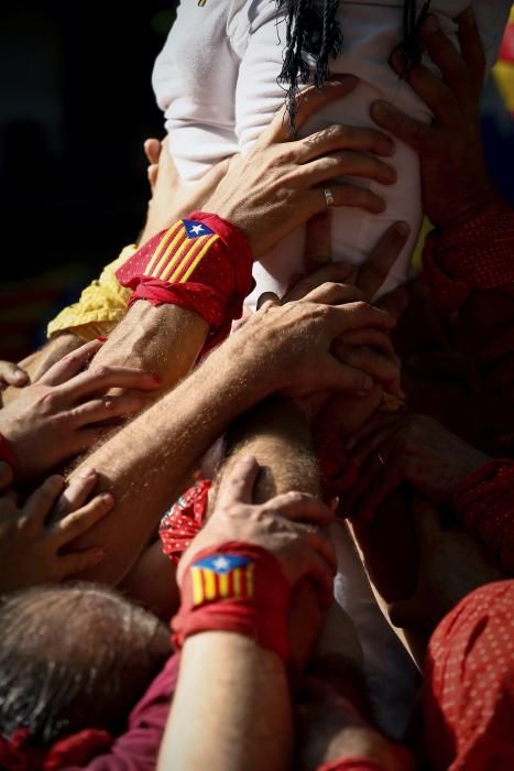 La Diada 2019, en imatges