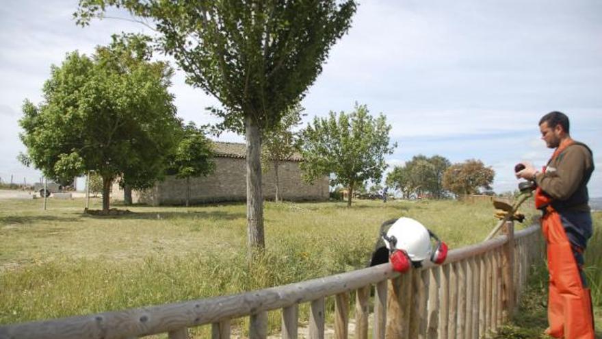 Los trabajadores proceden a la limpieza del entorno de la ermita de Santa Cruz, en Fermoselle.