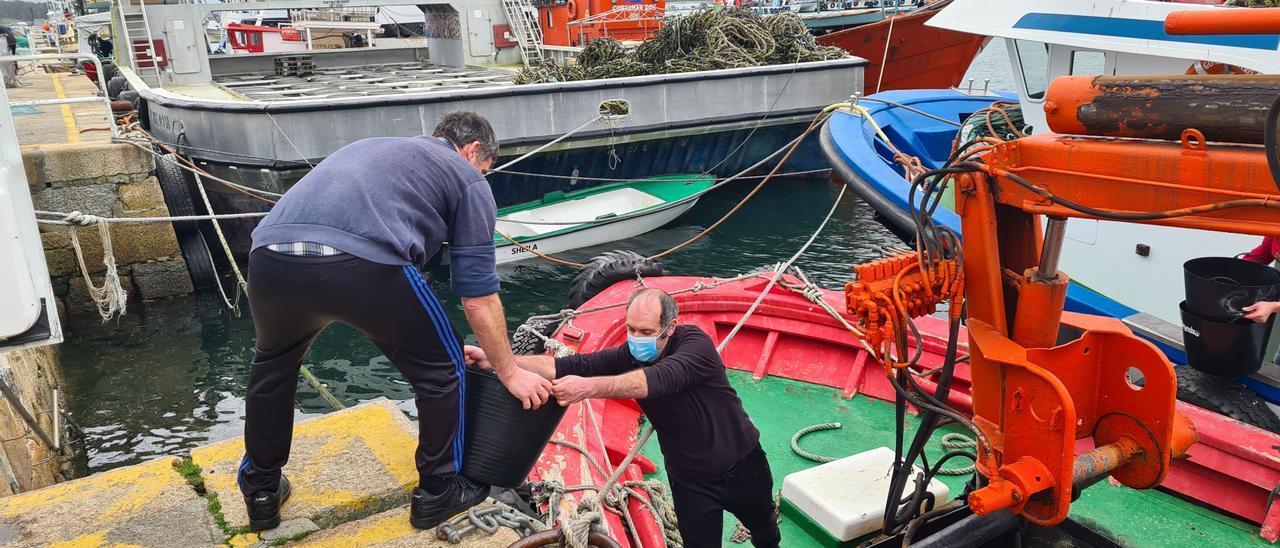 Una descarga en el puerto de O Corgo, en O Grove.