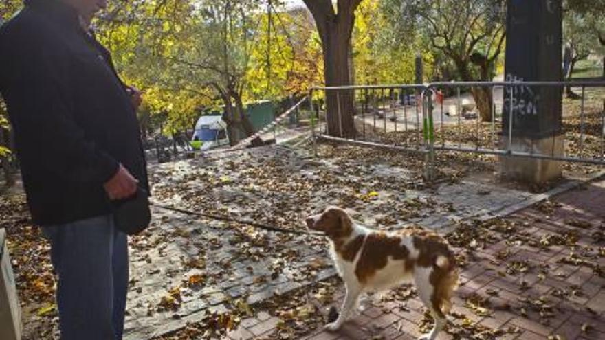 El Ayuntamiento habilita zonas para perros en tres parques