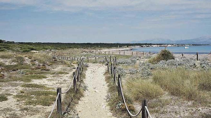 PanorÃ¡mica del nuevo Parque Natural de es Trenc-Salobrar.