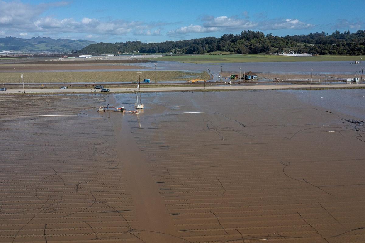 Campos inundados en Pájaro (California) debido al paso de un río atmosférico