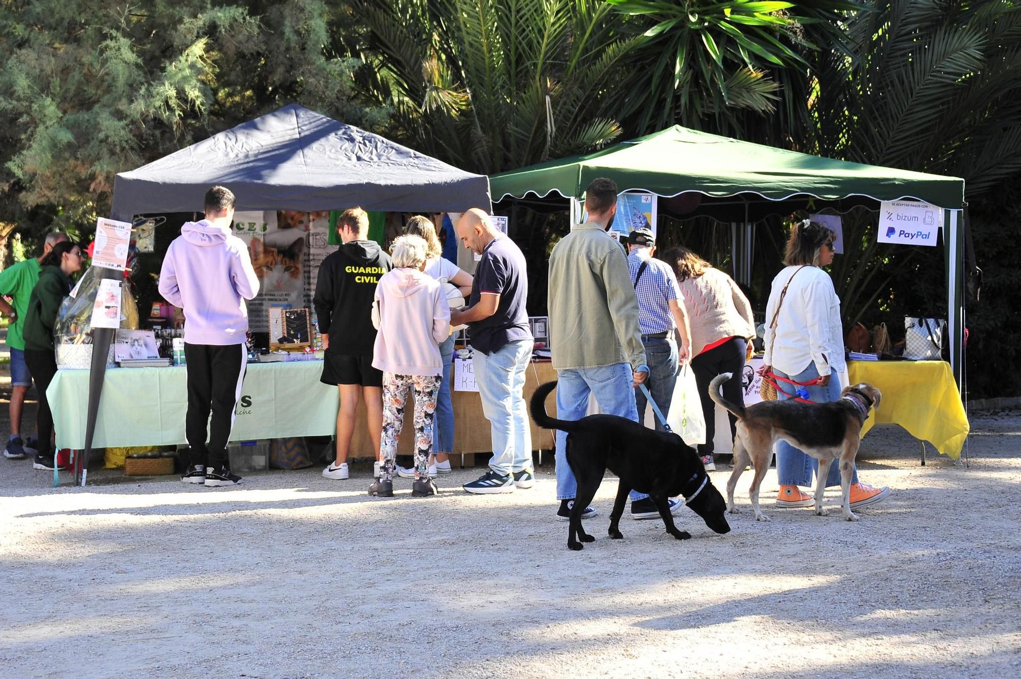 Feria de la adopcion de la provincia de Alicante