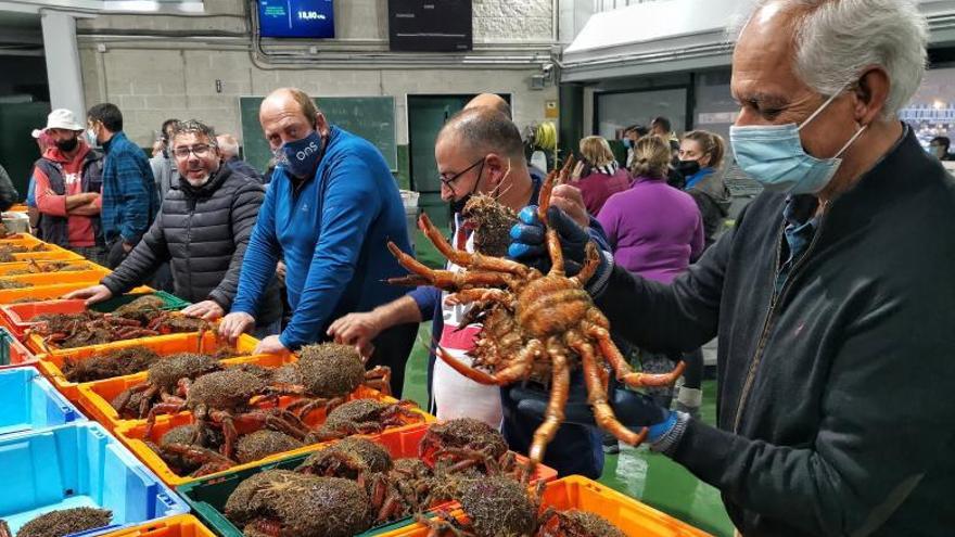 La centolla regresa el lunes con buenos augurios de capturas, pero incertidumbre por el precio