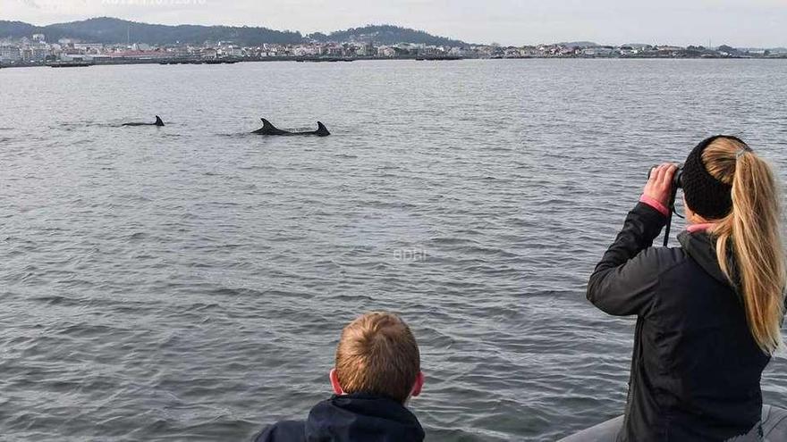 Estudiantes del BDRI, durante una jornada de observación de mamíferos marinos en la ría de Arousa. // BDRI