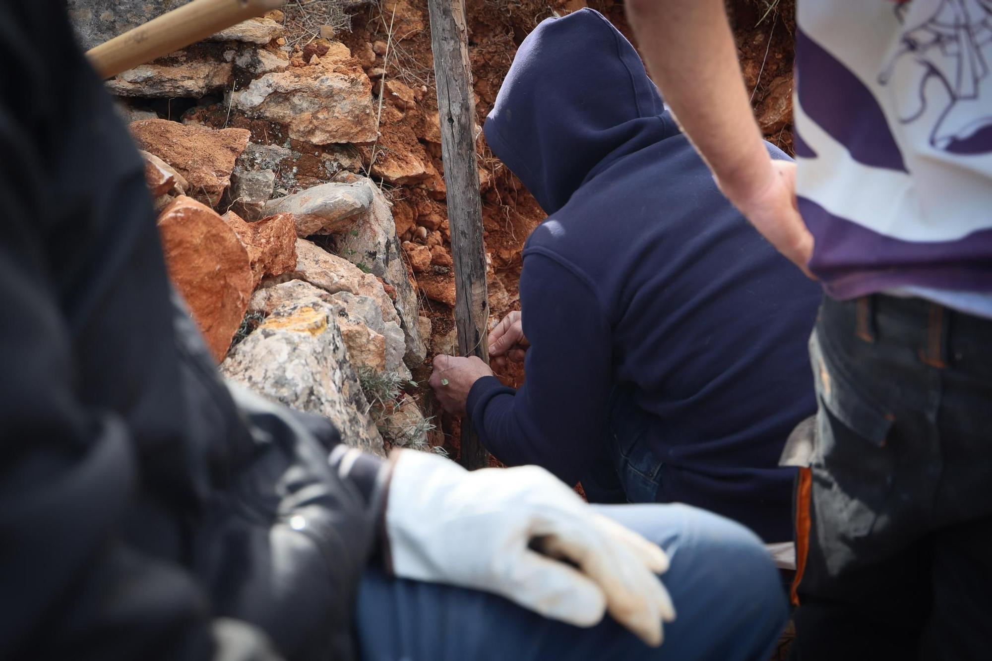 Galería: Reparación de la pared de piedra seca Joan d'en Micolau