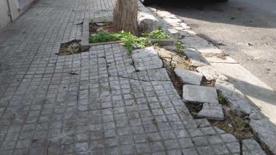 Acera destrozada por las raíces de un árbol.