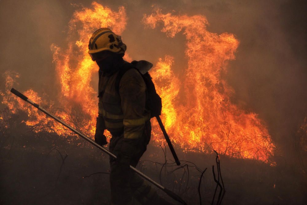 Arde Galicia | El fuego devora el Sur de Galicia