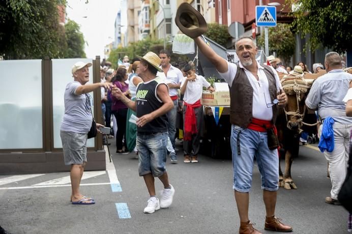 ROMERIA DE LOS DOLORES, SCHAMANN