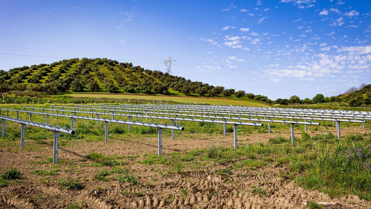 Vista de los trabajos de la primera fase de construcción del parque fotovoltaico de ChintSolar en 230 hectáreas del término municipal de Salteras.