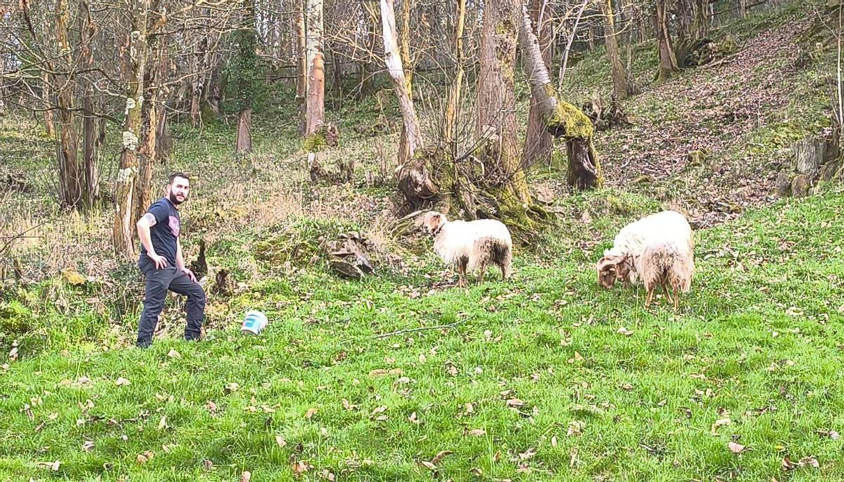 Por la izquierda, Lidia Arias, Ana Belén Longo con su hija Lara, María de los Ángeles Ávila y Alba Latorre, ayer, en la finca de La Roza (Piloña) en la que se registró el último ataque del lobo a ganado doméstico.