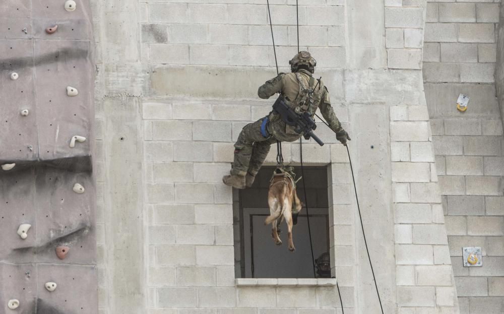 Los boinas verdes son soldados expertos en operaciones que, por su alta especialización, no pueden se desarrolladas por otras unidades, como el rescate de rehenes, reconocimientos especiales o captura