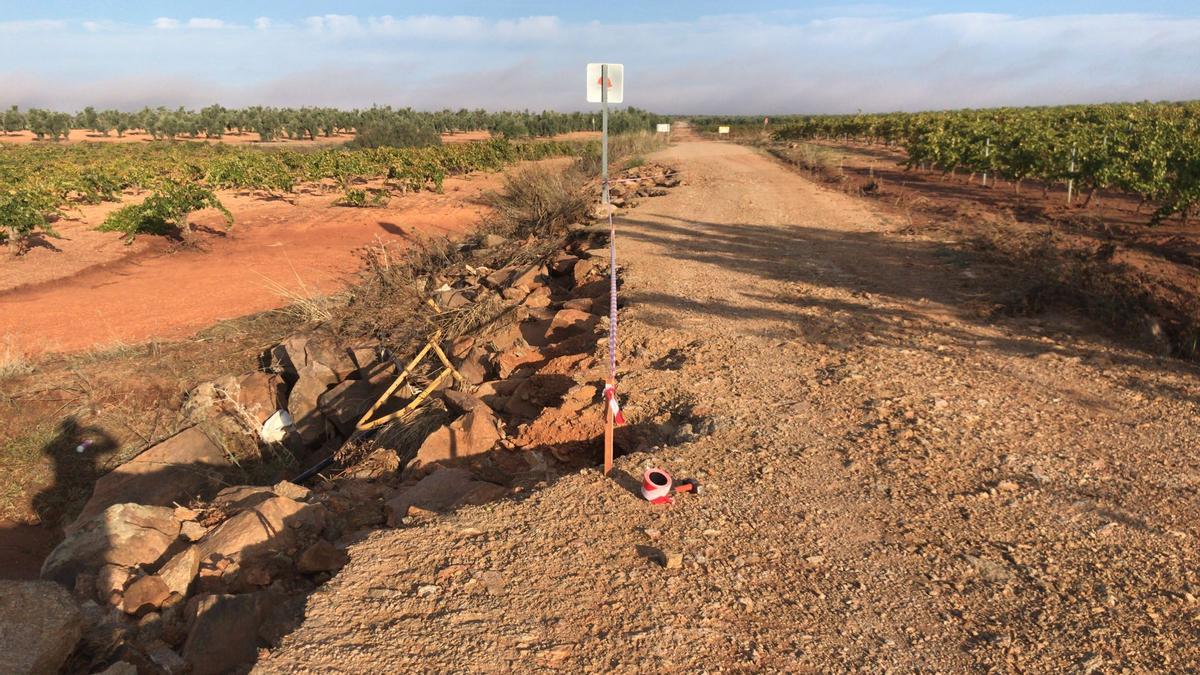 El mal estado de uno de los caminos