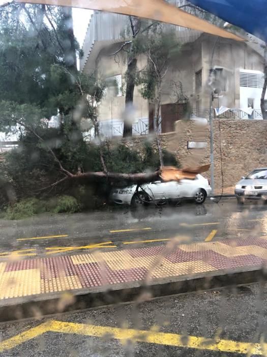 temporal maritimo en la ribera