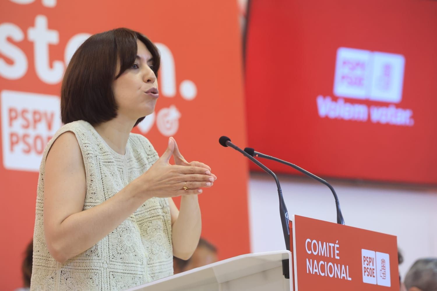 Todas las fotos del Comité Nacional del PSPV en València