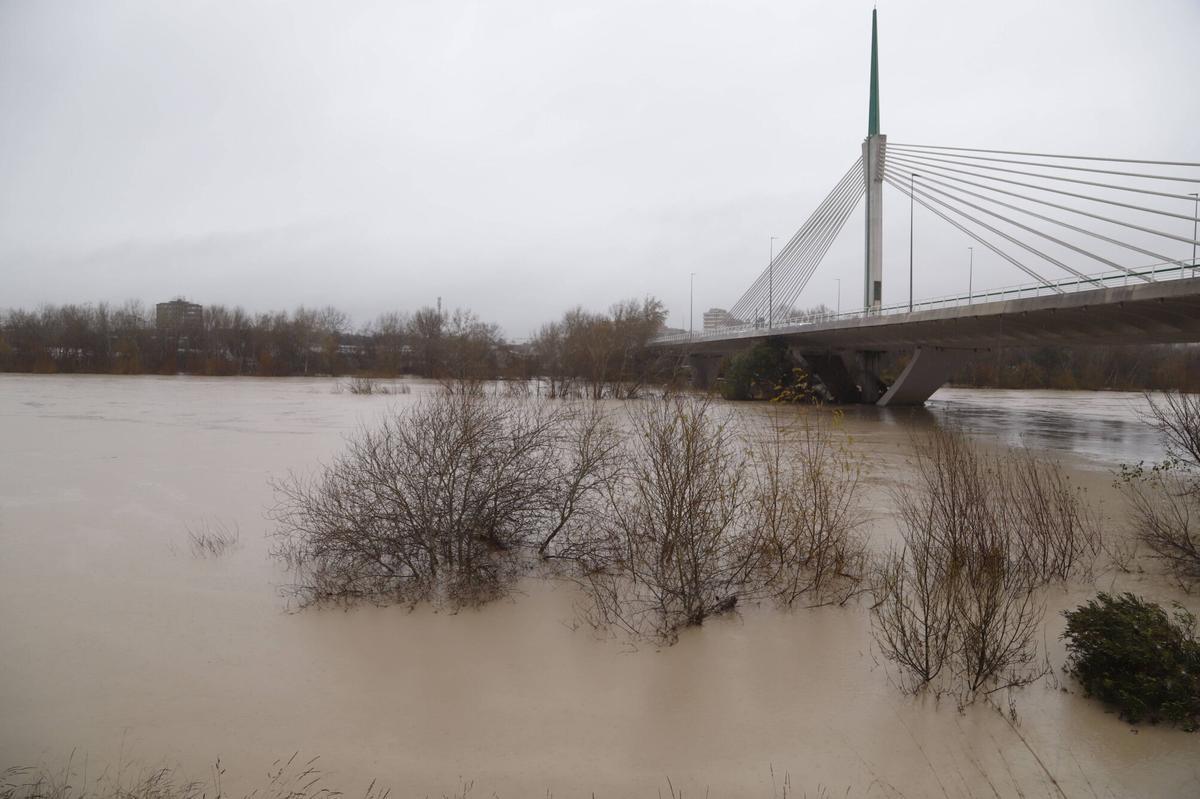 Cauce del río Guadalquivir a su paso por Casillas