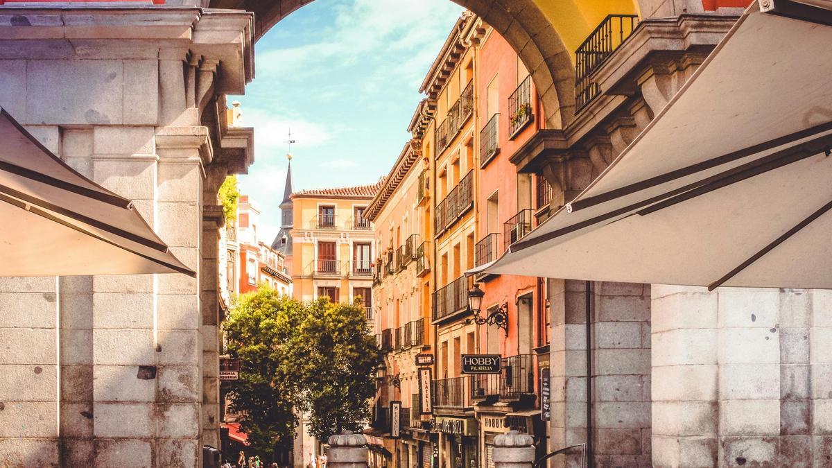 El abono turístico de transporte que te permitirá conocer Madrid como si fueras un auténtico gato