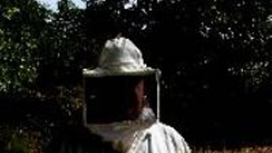 Anastasio Marcos APICULTOR: &quot;Los apicultores hemos perdido 6 millones de  en el 2005&quot;
