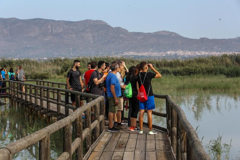 La UMH organiza una visita a El Hondo