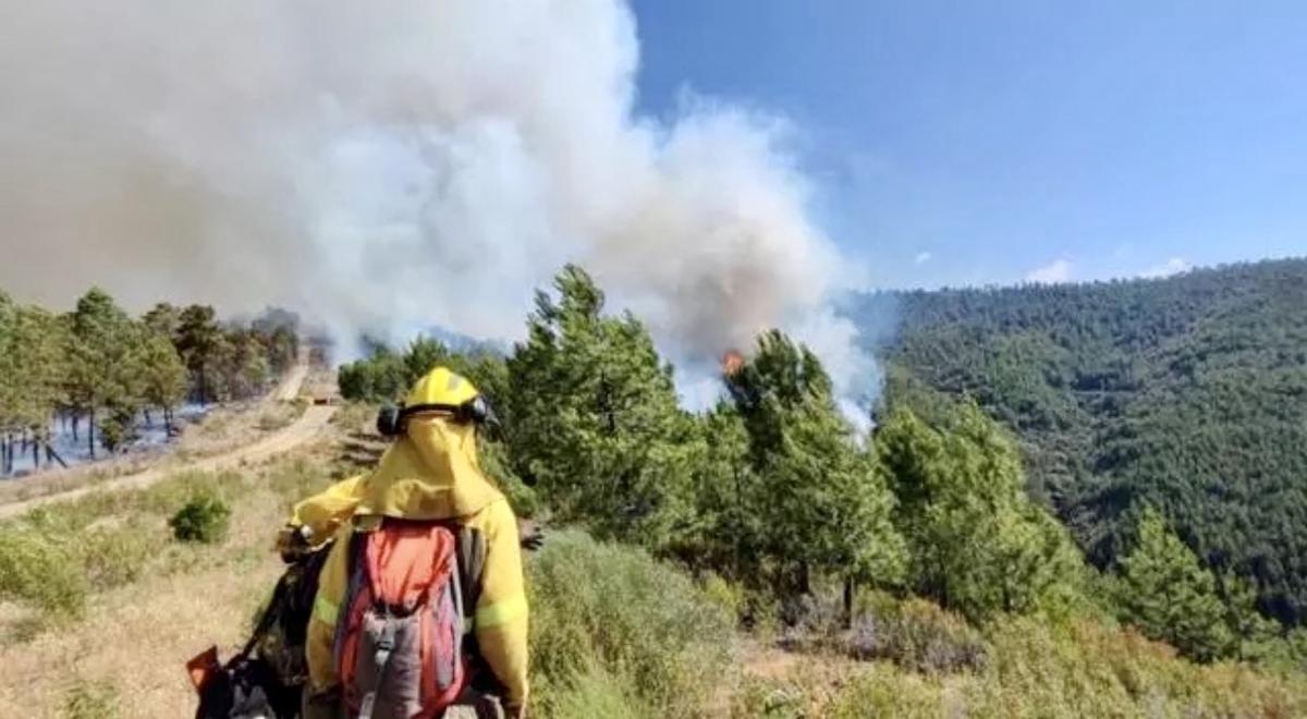 Labores de extinción del incendio de Gata-Hurdes en 2023.