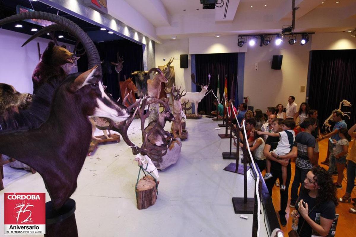 FOTOGALERÍA/ Imágenes de la sesión de Intercaza FOTOGALERÍA/ Imágenes de la sesión de Intercaza