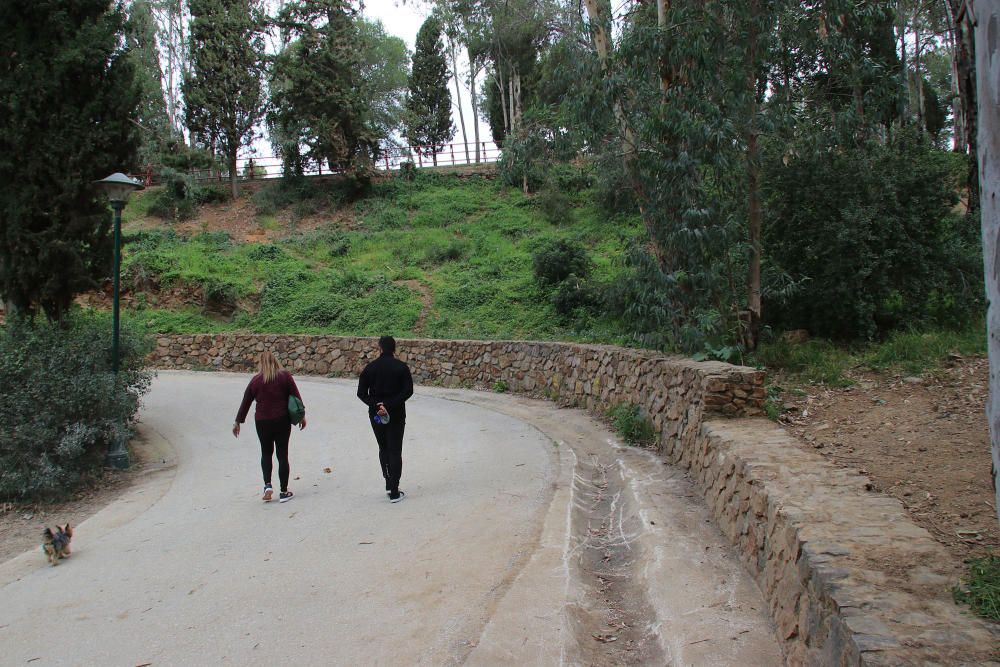 Parque Forestal del Monte Gibrafaro