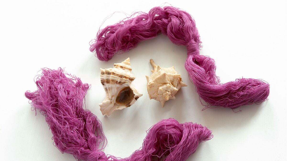 La púrpura antigua se obtenía del murex, un gasterópodo marino de concha rayada y grandes pinchos.
