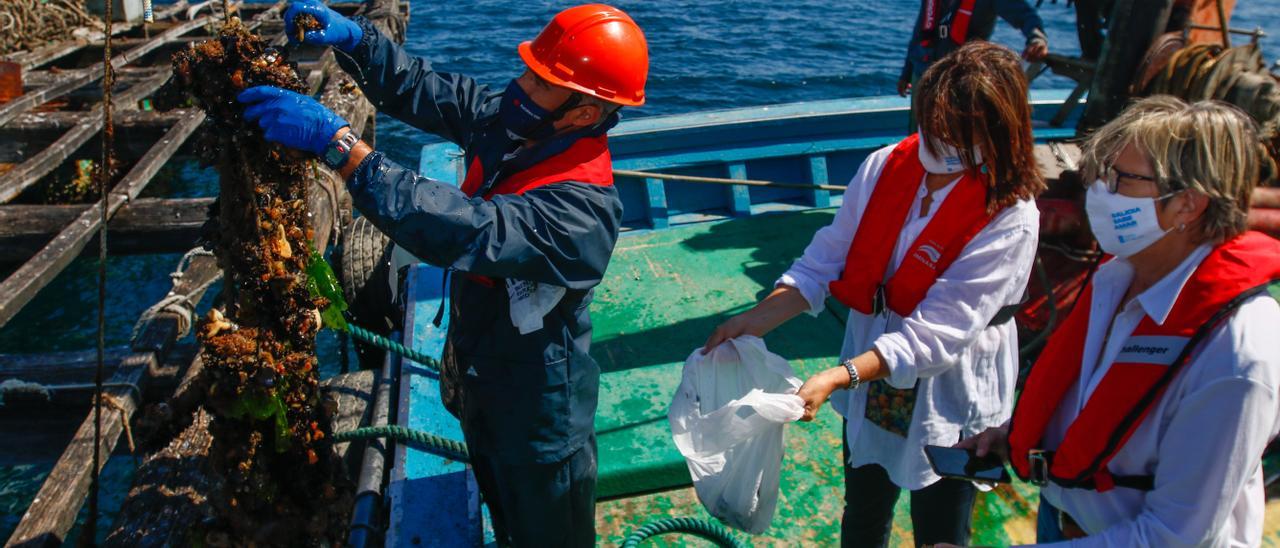 La directora del Intecmar y la conselleira Rosa Quintana, en una toma de muestras en batea.