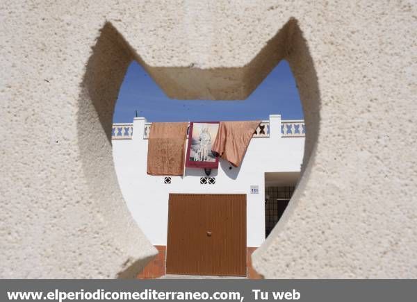 GALERÍA DE FOTOS - Fiesta en Sant Roc de la Donació en Castellón