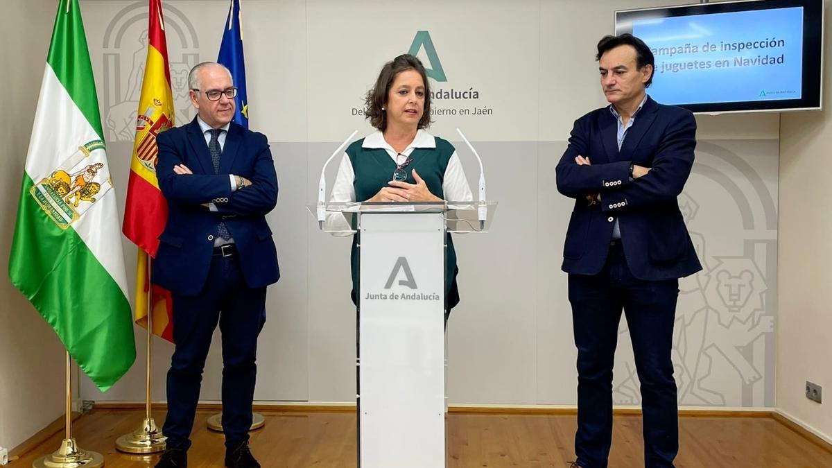 La consejera de Salud, durante la rueda de prensa.