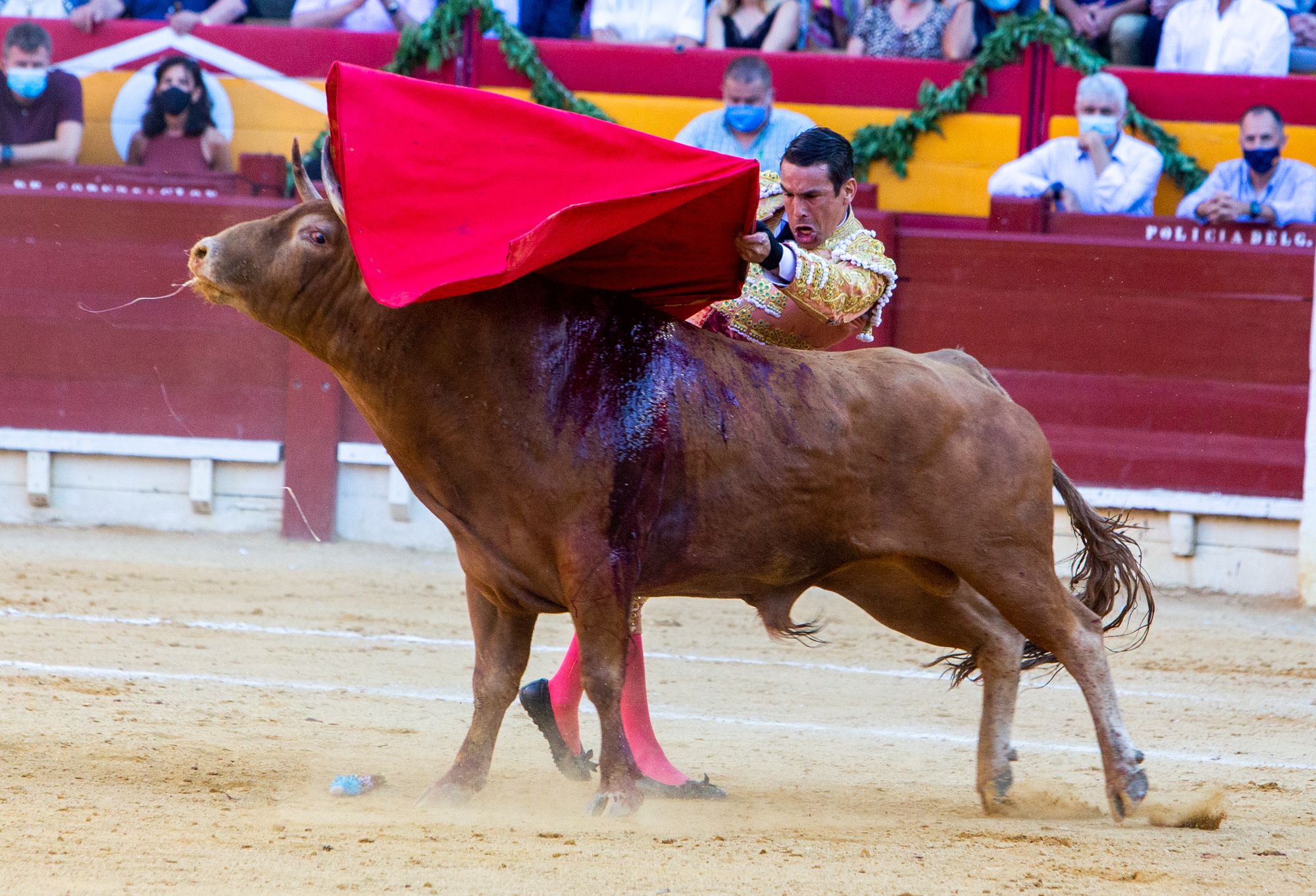 El Juli y Manzanares salen a hombros en la primera tarde de homenaje al maestro de Alicante