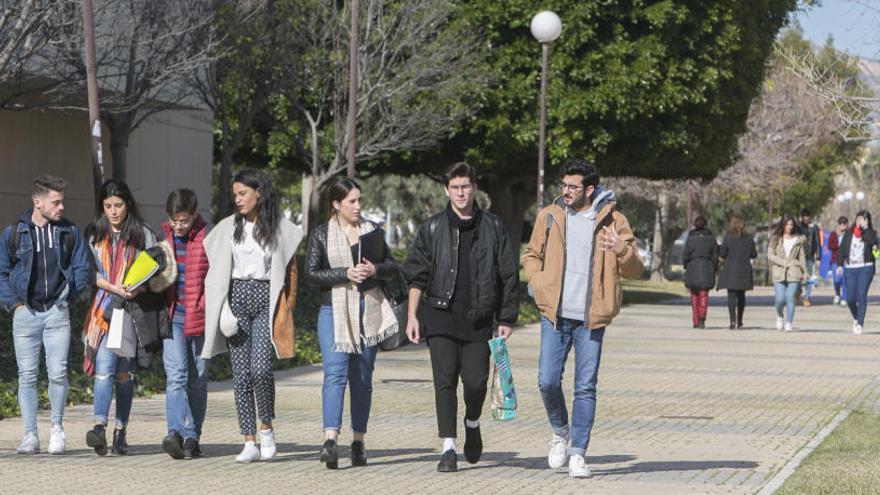 Estudiantes en el campus de San Vicente de la Universidad de Alicante