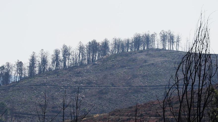 El incendio de Castellón aún sin controlar y se investigan reactivaciones en Ávila