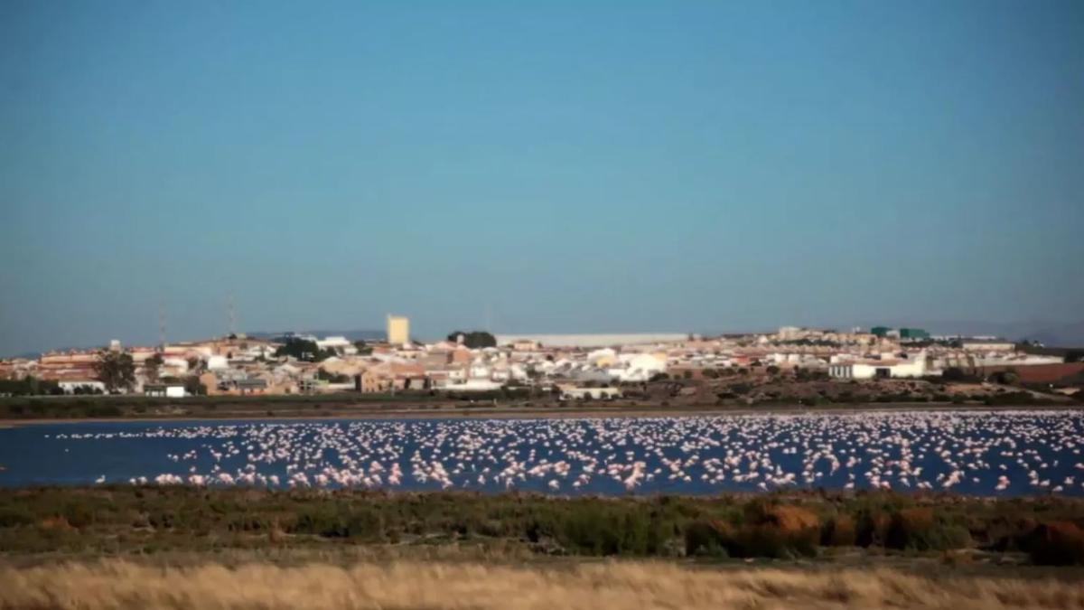 Vista de Fuente de Piedra