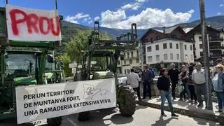 Los ganaderos del Pirineo avisan de que la presencia de osos también amenaza al turismo