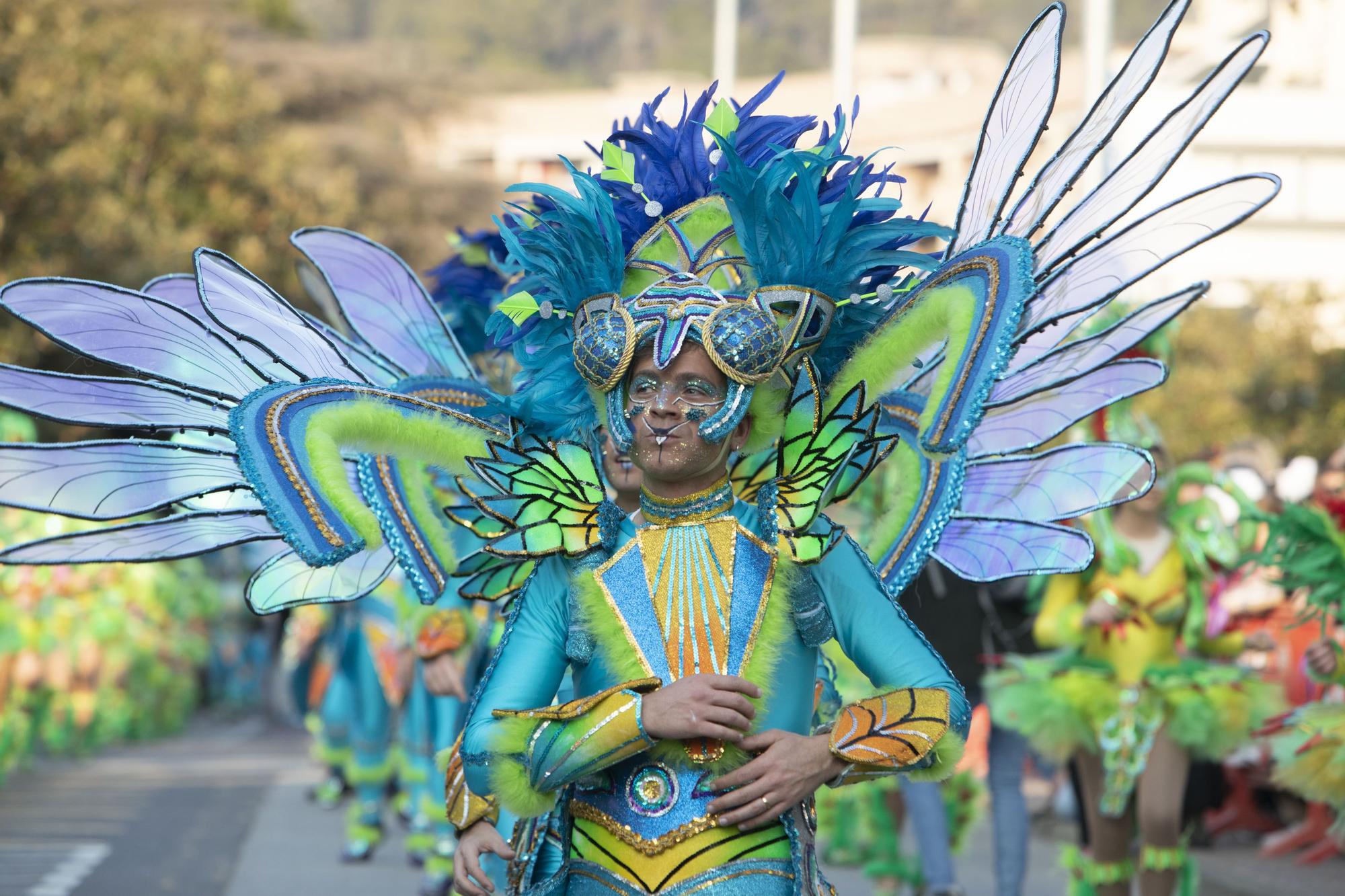 Totes les imatges del Carnaval de Tossa