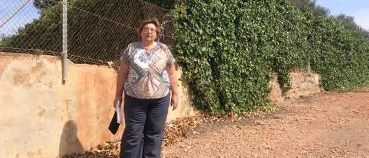 Halla 50 panales incontrolados en una finca tras ser atacada por un enjambre