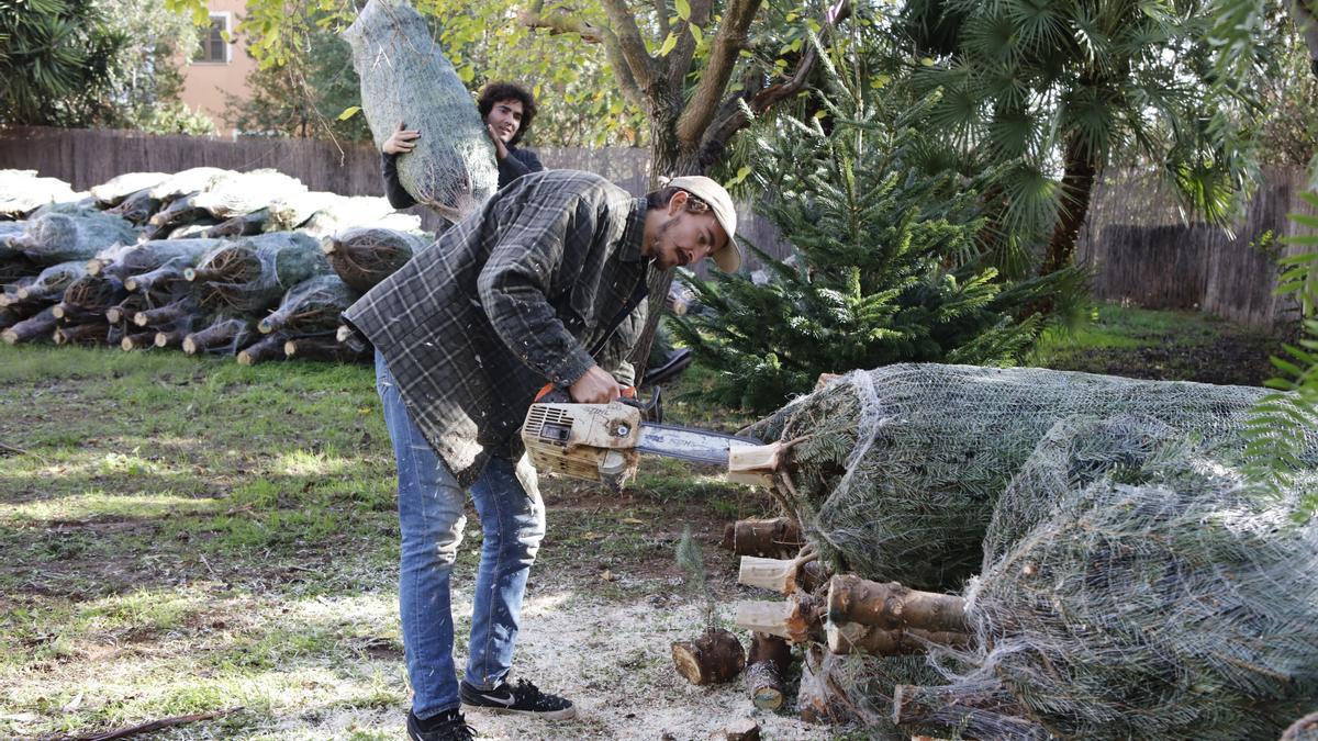 Quentin Theander und Michel Meyer haben kurz vor Weihnachten eine Menge zu tun